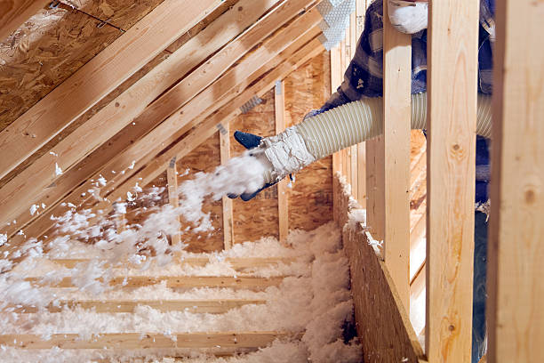 Best Insulation for New Construction  in Mechanicsville, MD